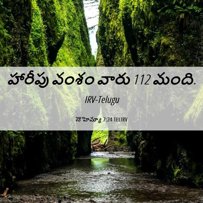 Picture 06 - నెహెమ్యా 7:24 TELIRV - హారీపు వంశం వారు 112 - Bible Verse Picture