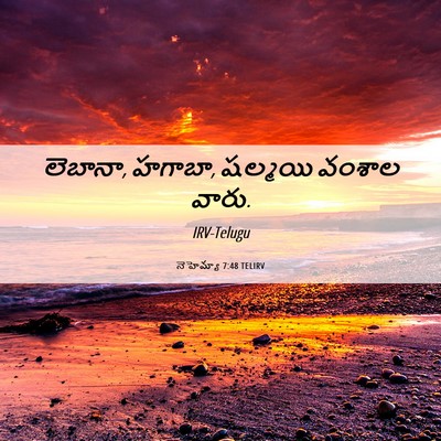 Picture 06 - నెహెమ్యా 7:48 TELIRV - లెబానా, హగాబా, - Bible Verse Picture