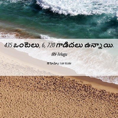 Picture 06 - నెహెమ్యా 7:69 TELIRV - 435 ఒంటెలు, 6, 720 - Bible Verse Picture