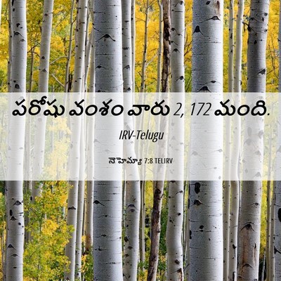 Picture 06 - నెహెమ్యా 7:8 TELIRV - పరోషు వంశం వారు 2, 172 - Bible Verse Picture