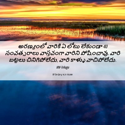 Picture 06 - నెహెమ్యా 9:21 TELIRV - అరణ్యంలో వారికి ఏ - Bible Verse Picture