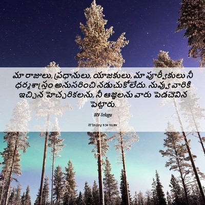 Picture 06 - నెహెమ్యా 9:34 TELIRV - మా రాజులు, - Bible Verse Picture