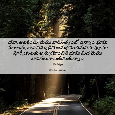 Picture 06 - నెహెమ్యా 9:36 TELIRV - దేవా, ఆలకించు, మేము - Bible Verse Picture