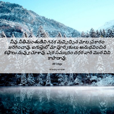 Picture 06 - నెహెమ్యా 9:9 TELIRV - నీవు నీతిమంతుడివి - Bible Verse Picture