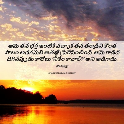 Picture 06 - న్యాయాధిపతులు 1:14 TELIRV - ఆమె తన భర్త ఇంటికి - Bible Verse Picture