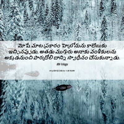 Picture 06 - న్యాయాధిపతులు 1:20 TELIRV - మోషే మాట ప్రకారం - Bible Verse Picture