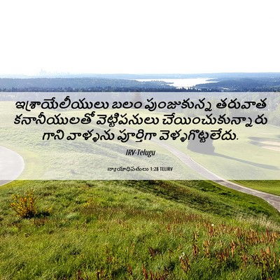 Picture 06 - న్యాయాధిపతులు 1:28 TELIRV - ఇశ్రాయేలీయులు బలం - Bible Verse Picture