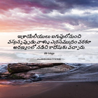 Picture 06 - న్యాయాధిపతులు 11:16 TELIRV - ఇశ్రాయేలీయులు - Bible Verse Picture