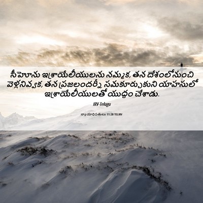 Picture 06 - న్యాయాధిపతులు 11:20 TELIRV - సీహోను - Bible Verse Picture