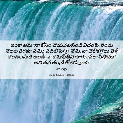 Picture 06 - న్యాయాధిపతులు 11:37 TELIRV - ఇంకా ఆమె “నా కోసం - Bible Verse Picture
