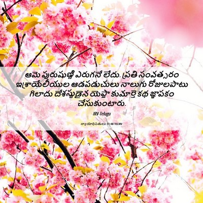 Picture 06 - న్యాయాధిపతులు 11:40 TELIRV - ఆమె పురుషుణ్ణి - Bible Verse Picture