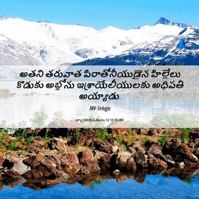 Picture 06 - న్యాయాధిపతులు 12:13 TELIRV - అతని తరువాత - Bible Verse Picture