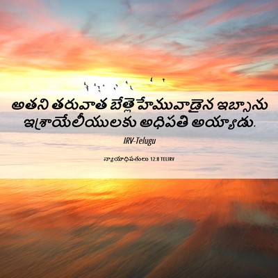 Picture 06 - న్యాయాధిపతులు 12:8 TELIRV - అతని తరువాత - Bible Verse Picture