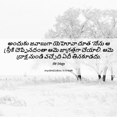 Picture 06 - న్యాయాధిపతులు 13:13 TELIRV - అందుకు జవాబుగా - Bible Verse Picture