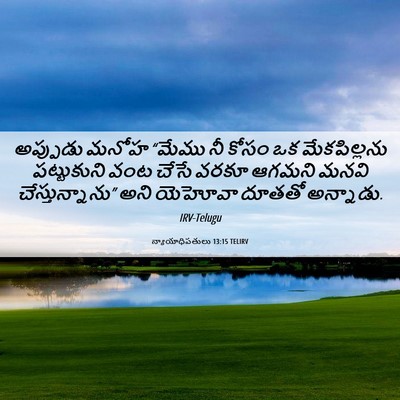 Picture 06 - న్యాయాధిపతులు 13:15 TELIRV - అప్పుడు మనోహ - Bible Verse Picture