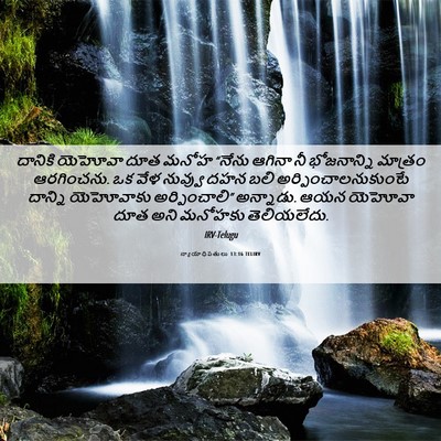 Picture 06 - న్యాయాధిపతులు 13:16 TELIRV - దానికి యెహోవా దూత - Bible Verse Picture