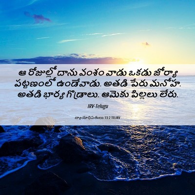 Picture 06 - న్యాయాధిపతులు 13:2 TELIRV - ఆ రోజుల్లో దాను - Bible Verse Picture