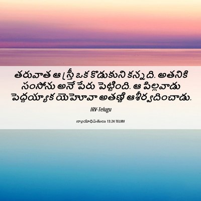 Picture 06 - న్యాయాధిపతులు 13:24 TELIRV - తరువాత ఆ స్త్రీ ఒక - Bible Verse Picture