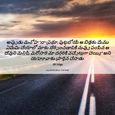Picture 06 - న్యాయాధిపతులు 13:8 TELIRV - అప్పుడు మనోహ “నా - Bible Verse Picture