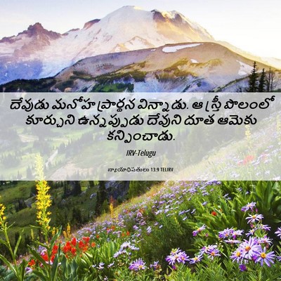 Picture 06 - న్యాయాధిపతులు 13:9 TELIRV - దేవుడు మనోహ - Bible Verse Picture