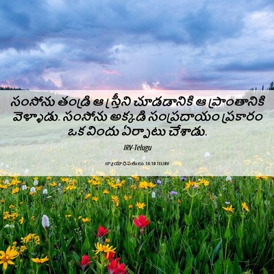Picture 06 - న్యాయాధిపతులు 14:10 TELIRV - సంసోను తండ్రి ఆ - Bible Verse Picture