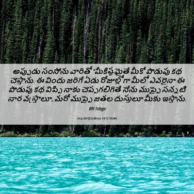 Picture 06 - న్యాయాధిపతులు 14:12 TELIRV - అప్పుడు సంసోను - Bible Verse Picture