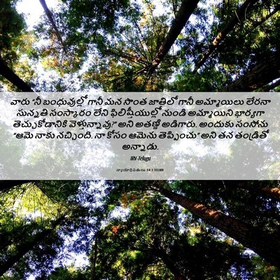 Picture 06 - న్యాయాధిపతులు 14:3 TELIRV - వారు “నీ - Bible Verse Picture