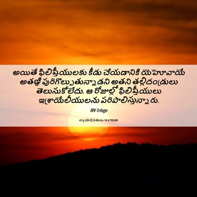 Picture 06 - న్యాయాధిపతులు 14:4 TELIRV - అయితే - Bible Verse Picture