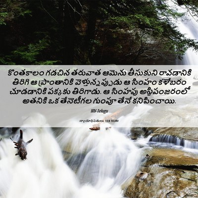 Picture 06 - న్యాయాధిపతులు 14:8 TELIRV - కొంతకాలం గడచిన - Bible Verse Picture