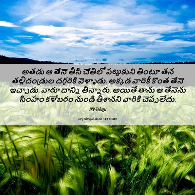Picture 06 - న్యాయాధిపతులు 14:9 TELIRV - అతడు ఆ తేనె తీసి - Bible Verse Picture