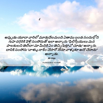 Picture 06 - న్యాయాధిపతులు 15:11 TELIRV - అప్పుడు యూదా - Bible Verse Picture