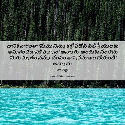 Picture 06 - న్యాయాధిపతులు 15:12 TELIRV - దానికి వారంతా - Bible Verse Picture