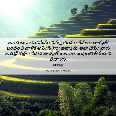 Picture 06 - న్యాయాధిపతులు 15:13 TELIRV - అందుకు వారు “మేము - Bible Verse Picture