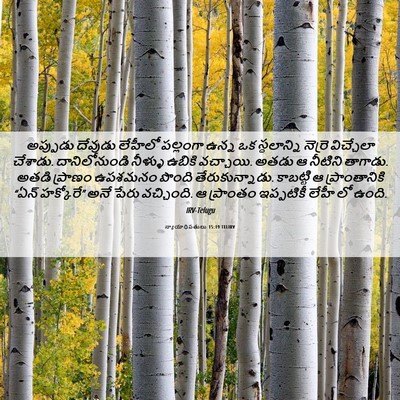 Picture 06 - న్యాయాధిపతులు 15:19 TELIRV - అప్పుడు దేవుడు - Bible Verse Picture