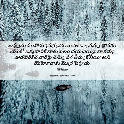 Picture 06 - న్యాయాధిపతులు 16:28 TELIRV - అప్పుడు సంసోను - Bible Verse Picture