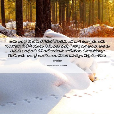 Picture 06 - న్యాయాధిపతులు 16:9 TELIRV - ఆమె ఇంట్లోని - Bible Verse Picture