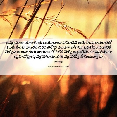 Picture 06 - న్యాయాధిపతులు 18:17 TELIRV - అప్పుడు ఆ యాజకుడు - Bible Verse Picture