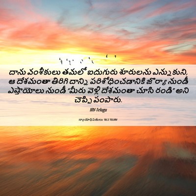 Picture 06 - న్యాయాధిపతులు 18:2 TELIRV - దాను వంశీకులు - Bible Verse Picture