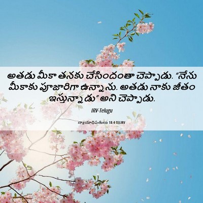 Picture 06 - న్యాయాధిపతులు 18:4 TELIRV - అతడు మీకా తనకు - Bible Verse Picture