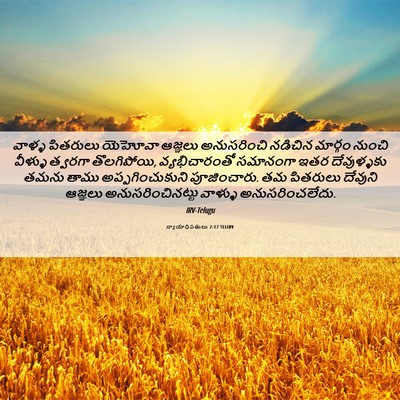 Picture 06 - న్యాయాధిపతులు 2:17 TELIRV - వాళ్ళ పితరులు - Bible Verse Picture