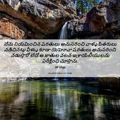 Picture 06 - న్యాయాధిపతులు 2:21 TELIRV - నేను నియమించిన - Bible Verse Picture
