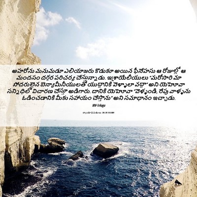 Picture 06 - న్యాయాధిపతులు 20:28 TELIRV - అహరోను మనుమడూ - Bible Verse Picture