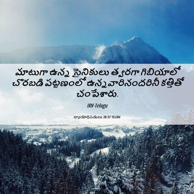 Picture 06 - న్యాయాధిపతులు 20:37 TELIRV - మాటుగా ఉన్న - Bible Verse Picture