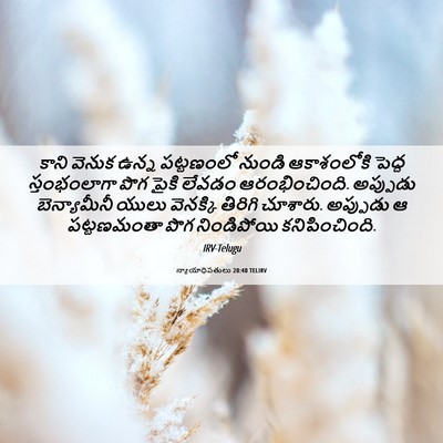 Picture 06 - న్యాయాధిపతులు 20:40 TELIRV - కాని వెనుక ఉన్న - Bible Verse Picture