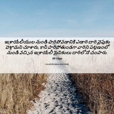 Picture 06 - న్యాయాధిపతులు 20:42 TELIRV - ఇశ్రాయేలీయుల - Bible Verse Picture