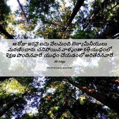 Picture 06 - న్యాయాధిపతులు 20:46 TELIRV - ఆ రోజు ఇరవై ఐదు - Bible Verse Picture