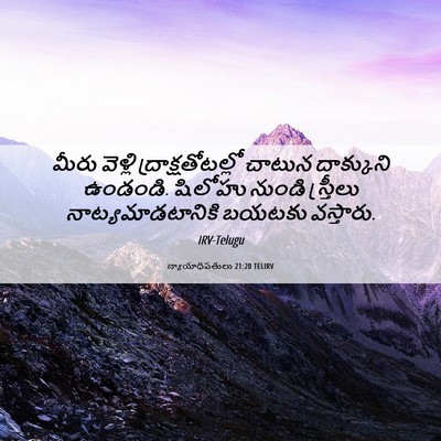 Picture 06 - న్యాయాధిపతులు 21:20 TELIRV - మీరు వెళ్లి - Bible Verse Picture