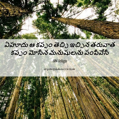 Picture 06 - న్యాయాధిపతులు 3:18 TELIRV - ఏహూదు ఆ కప్పం - Bible Verse Picture
