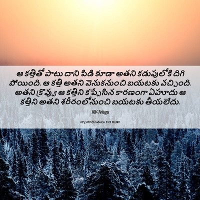 Picture 06 - న్యాయాధిపతులు 3:22 TELIRV - ఆ కత్తితో పాటు - Bible Verse Picture