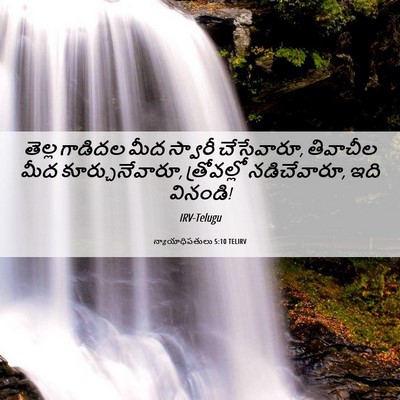 Picture 06 - న్యాయాధిపతులు 5:10 TELIRV - తెల్ల గాడిదల మీద - Bible Verse Picture